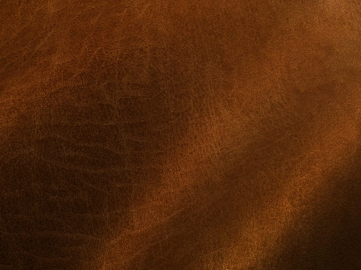 Rich brown full-grain leather surface showing the natural shine and depth of color characteristic of vegetable-tanned aniline-finished cowhide — the kind of material that develops distinctive patina with years of use