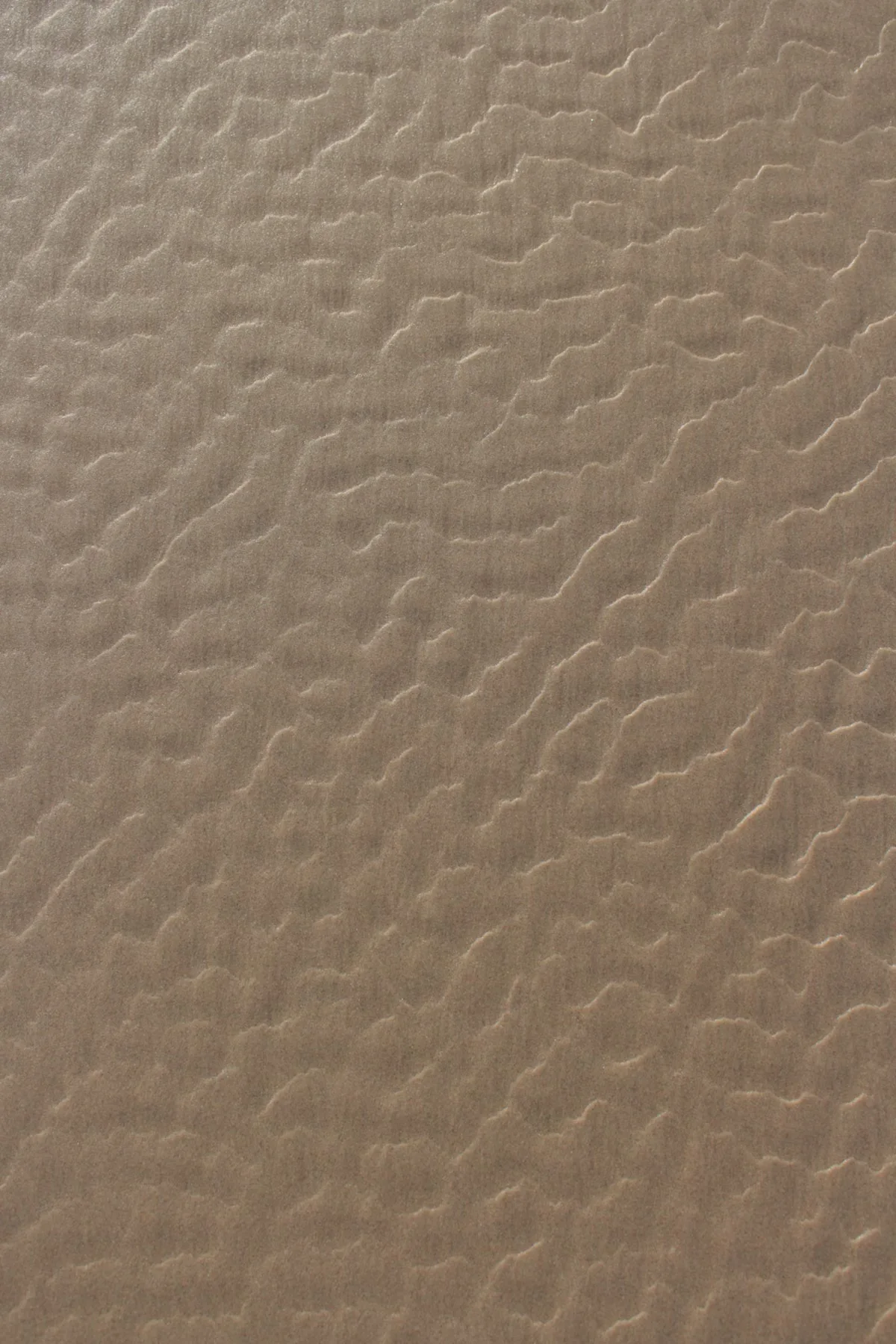 Close-up of tan pebbled leather showing the characteristic raised grain pattern — the most commercially durable leather surface texture in wholesale handbag production, hiding scratches and maintaining appearance through heavy retail use